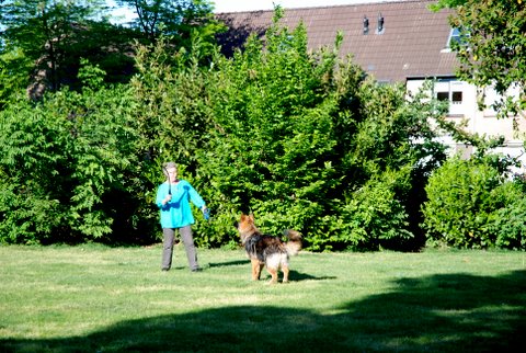 Fotos/2010vervolgTaylor/Clifford/DSC_0014[1].JPG